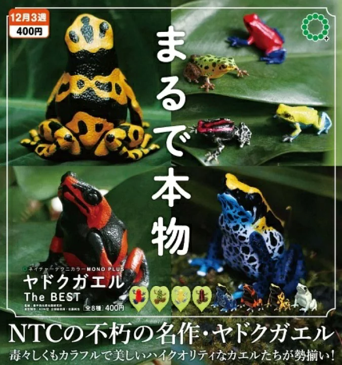 リアルなカエルガチャ NTC MONO＋ ヤドクガエル The BEST 再販