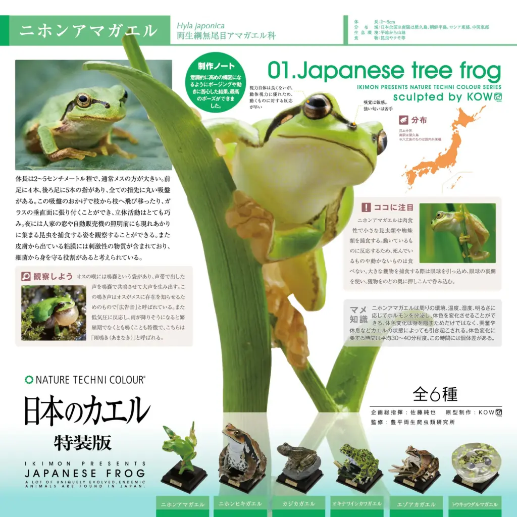 リアルなカエルガチャ ネイチャーテクニカラー 日本のカエル 特装版